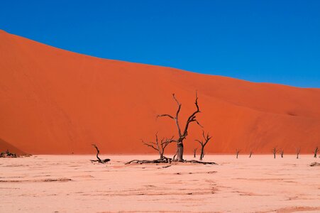 Desert drought sand photo