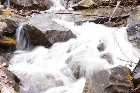 Buck Hollow/Buck Ridge Loop Trail in Shenandoah