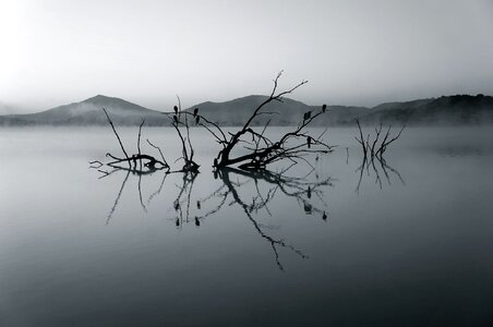 Lake Silence Black and white photo