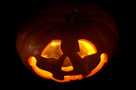 Halloween Pumpkin photo