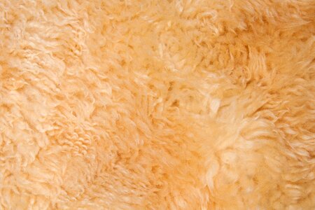 Sheepskin lambskin use