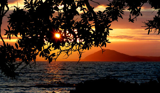 Ocean Sunset Silhouette photo