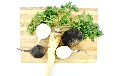 Kitchen Table parsley radish photo