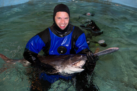 Paddlefish-2 photo