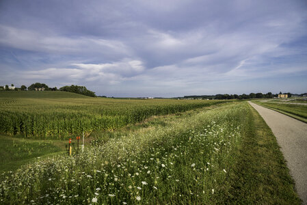 Landscape by biking path under cloudy skies photo