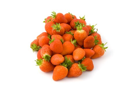 Healthy organic fresh