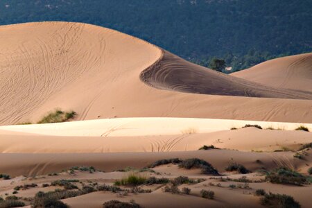 Coral Pink Sand Dunes State Park photo