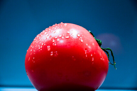 Tomato photo