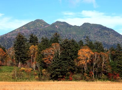 Autumn autumn season field