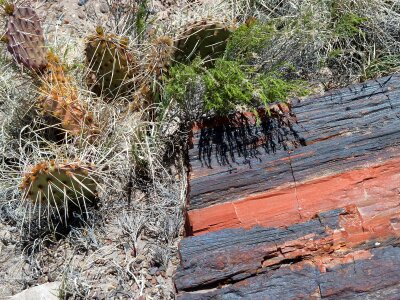 Erosion hot dry