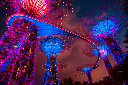 Marina Bay Garden Singapore Blue photo