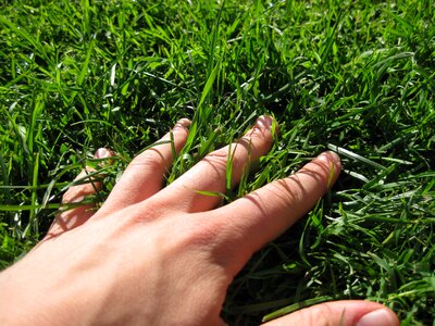 Finger meadow green