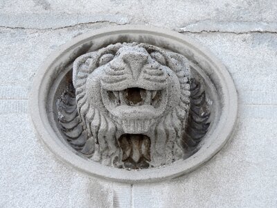 Art concrete lion