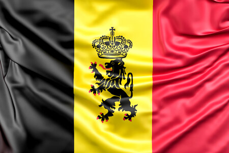 Flag of Belgium with ensign photo