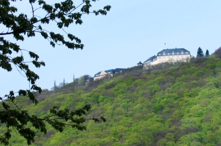 Petersberg seven forest