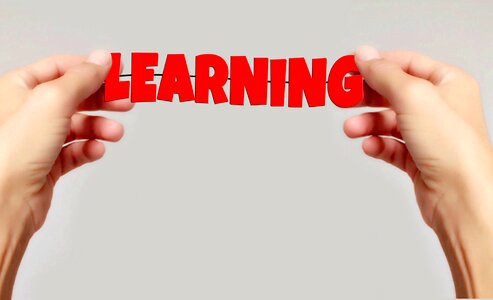 Skills career knowledge