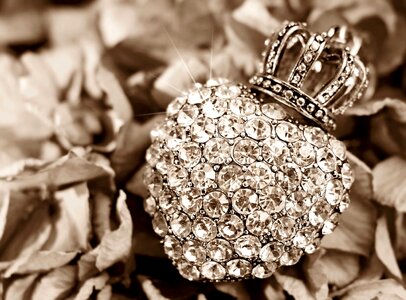 Accessory autumn autumn season