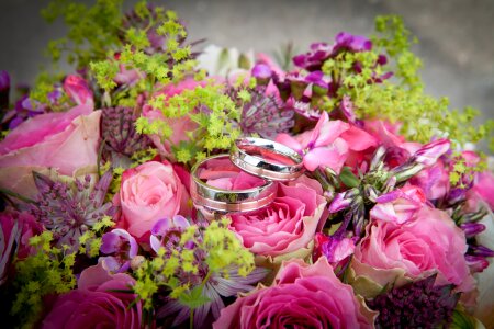 Wedding rings celebration floral photo