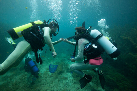 FWS divers search for salamanders in Spring Lake