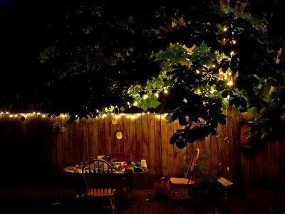 Backyard desk evening