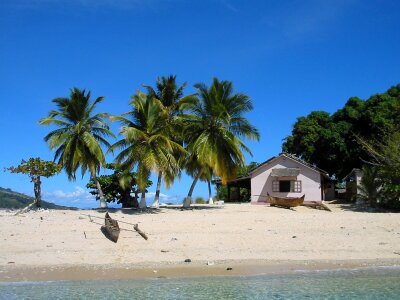 Tropical coconut madagascar photo