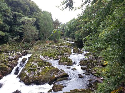Moss rapids landscape