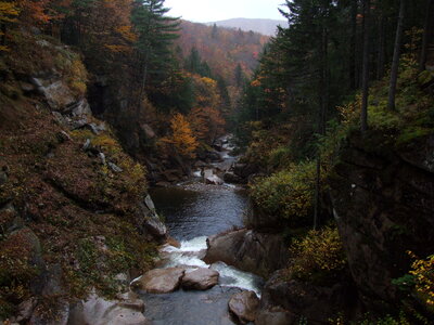 White Mountains Fall Foliage photo