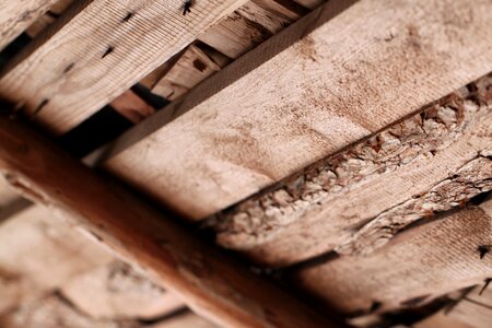 Plank board texture photo