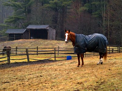 Blanket outdoors rainy