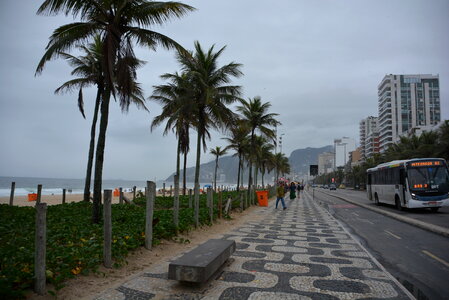 Palms and Two Brothers Mountain on Ipanema beach