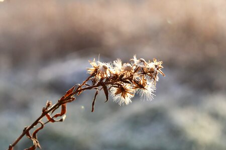 Dry Season outdoor sunshine