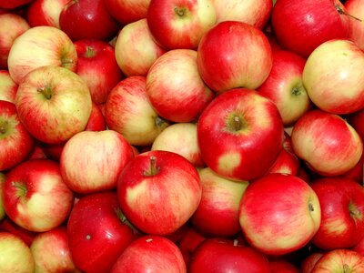 Red yellow fruit