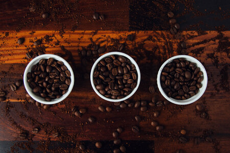 Coffee Lineup