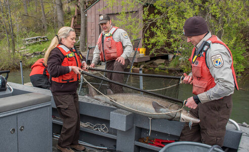 USFWS Fisheries workers-1