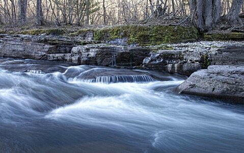 Landscape killer whale stream