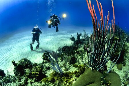 Diver exploration ocean photo