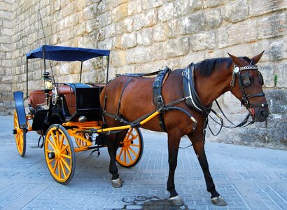 Romantic calash carrozza