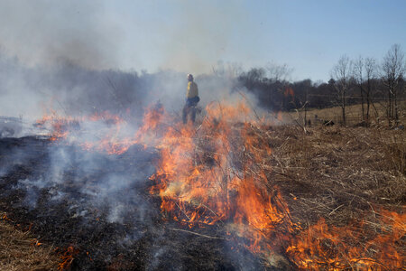 Firefighter standing on edge of burn