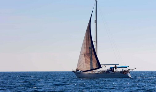 Boat boat race catamaran photo