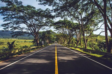 Asphalt highway landscape