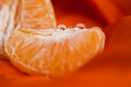 Orange Fruit