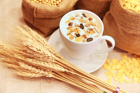 Healthy fibres oat