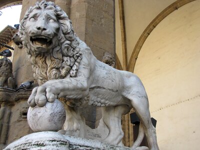 Donatello's statue lion statue photo