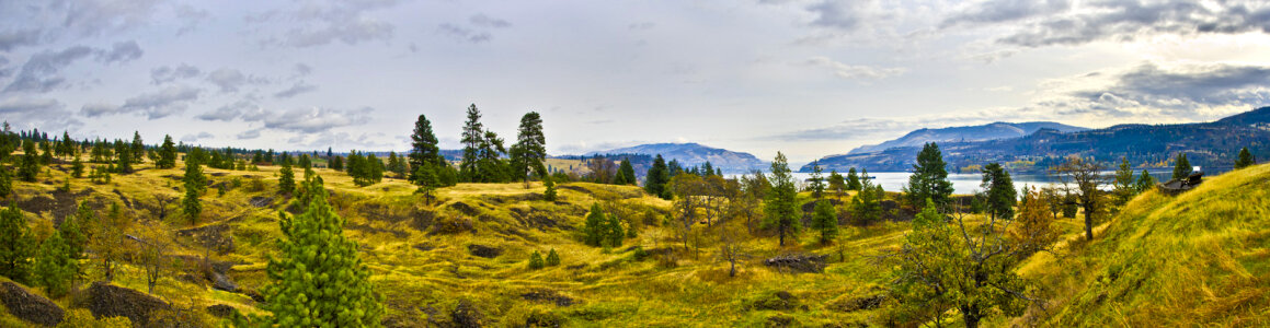 Panoramic View of Columbia River Gorge landscape