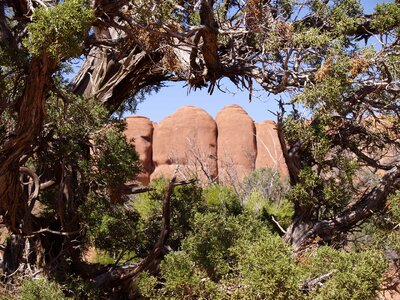 Red Rocks Arches National Park Arizona photo