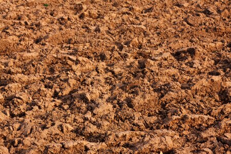 Brown cultivated dirt photo