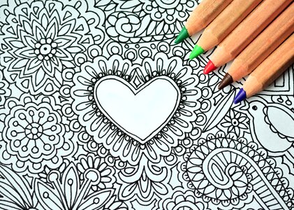 Art beautiful photo color