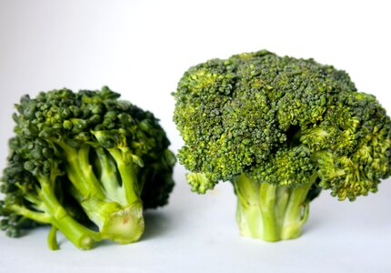Agriculture broccoli delicious
