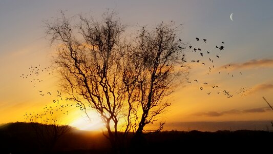 Coucher de soleil photo