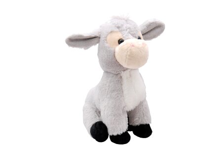 Animal cute kids